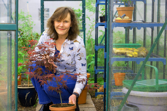 Holding an Acer Atropurpureum, in April 2026.