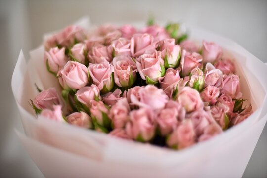 Bouquet of delicate small roses in soft pastel wrapping on blurred background.
