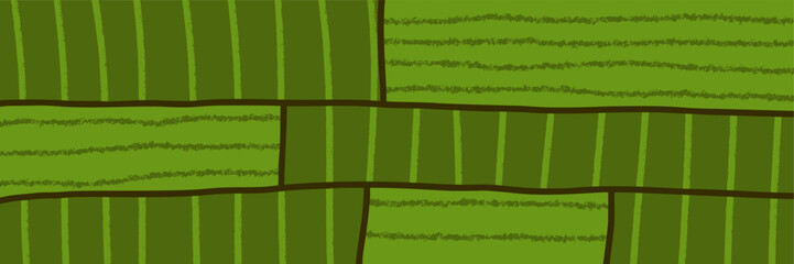 Obraz premium Top pattern agriculture for texture plantation farm and field vineyard abstract.