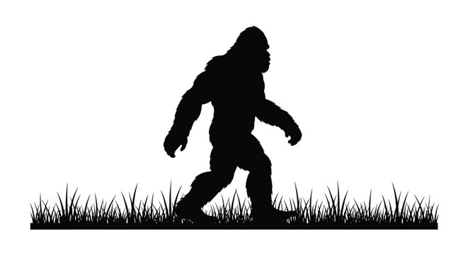A large dark figure walks through grass a striking silhouette