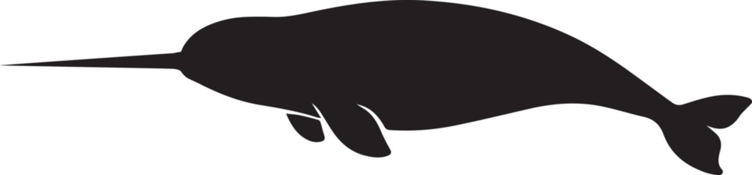 minimalist black and white narwhal whale silhouette vector illustration isolated on white background