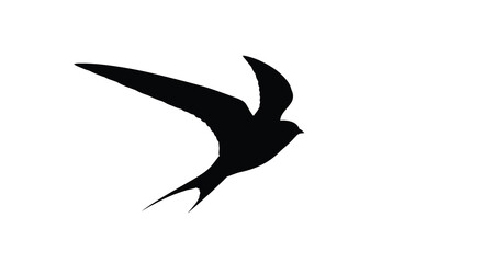 A striking black bird in flight elegantly captured as a silhouette © Sogir