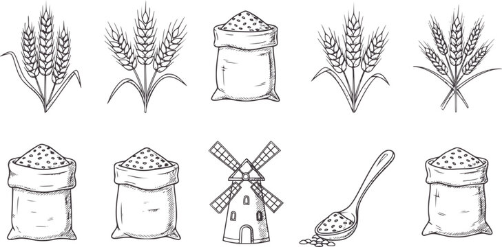 Hand drawn wheat stalks sacks of grain windmill and spoon