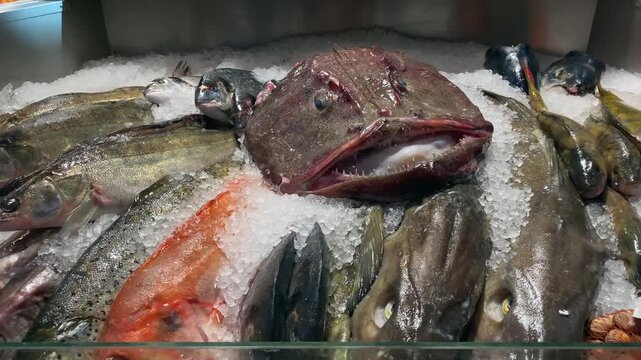 Fresh fish selection on crushed ice at market stall, seafood display with variety and abundance