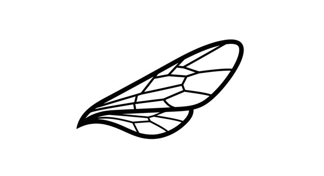 Graphic illustration of insect wing with intricate vein structure on white background