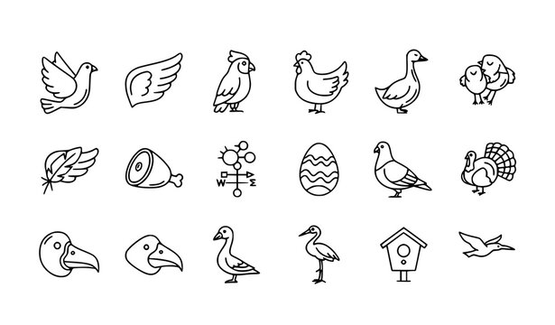 Bird line icons in circular layout with dove parrot chicken wings and decorative animal symbol collection vector