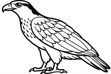 Obraz premium buzzard bird silhouette line art vector illustration with a white background