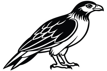Obraz premium buzzard bird silhouette line art vector illustration with a white background