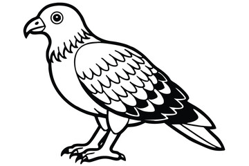 Fototapeta premium buzzard bird silhouette line art vector illustration with a white background