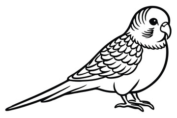 Fototapeta premium budgerigar bird silhouette line art vector illustration with a white background