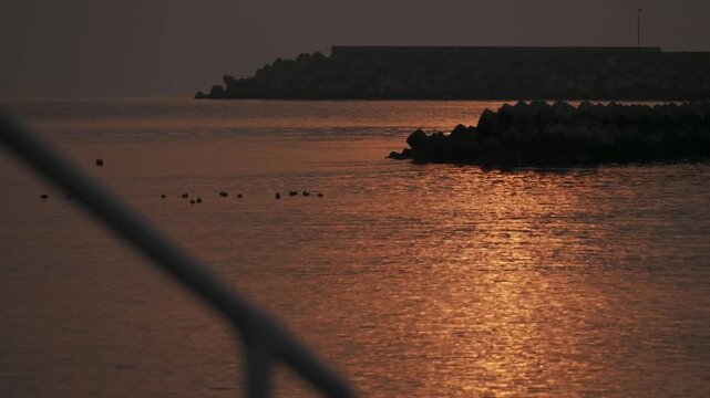 防波堤の階段から見る波けしブロックのある夕日の海