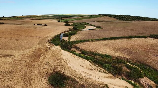 Vuelo sobre campo con dron FPV