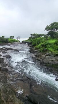 Beautiful streams flow over the Western Ghats, cascading down misty mountains, surrounded by lush green monsoon landscapes that bring life, freshness, and a serene natural charm to every corner.