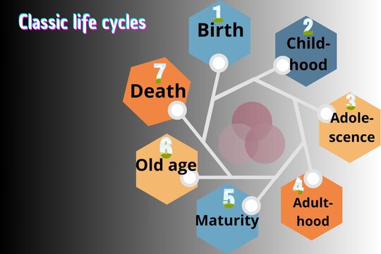 AjLife cycles, birth, childhood, adultehood, matirity, death, experience  