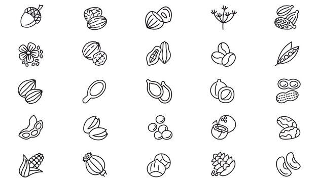 25 Vector Icon Set Bundle: Black Minimalist Line Art Symbols of Spices, Nuts, Seeds, and Plants. Includes Cardamom, Nutmeg, Walnut, Coffee, Cocoa, Coconut, Corn, Peanut, Hazelnut, and Botanical Art.
