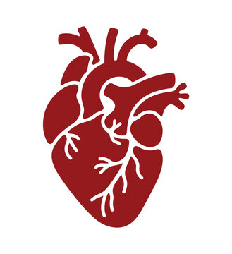 Human heart icon shows medical anatomy.