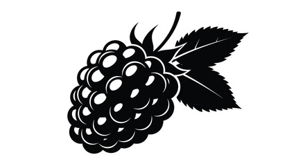 A striking black and white illustration depicts a cluster of ripe raspberries with a leaf © ArtBySalea07