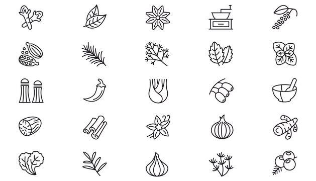 Vector Icon Set of 25 Black Minimalist Line Art Symbols for Herbs Spices and Kitchen Tools including Cinnamon Garlic Ginger Chili Coffee Grinder Mortar Pestle Onion Vanilla and Botanical Leaves.