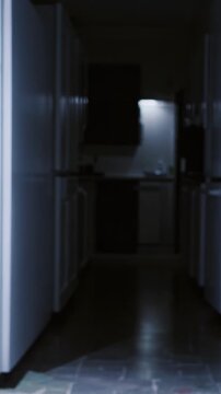 Refrigerator light glow, Quiet night scene with glowing refrigerator illuminating empty shelves, Dimly lit kitchen passageway cast by open refrigerator revealing shadows and vacant spaces