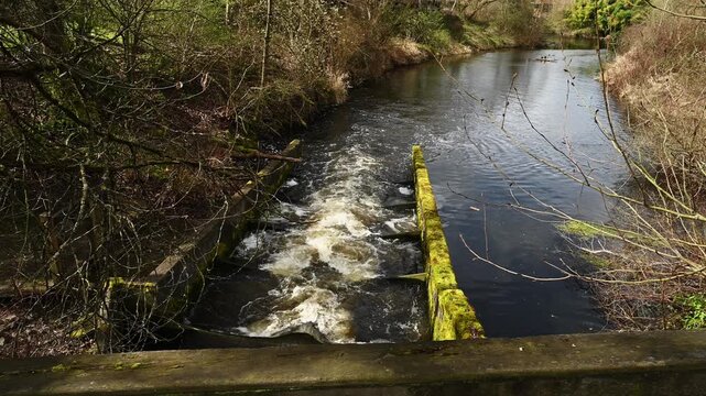 Fish ladder in an urban stream, cement structure with water running high after rains, white water rapids, tannins turning water brownish
