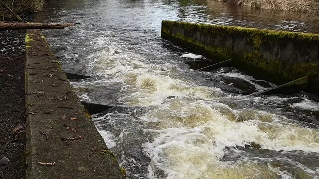 Fish ladder in an urban stream, cement structure with water running high after rains, slow motion white water rapids, tannins turning water brownish

