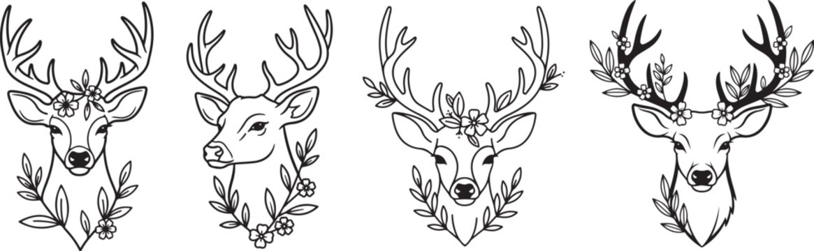 Wildlife Deer Portrait Illustration Pack