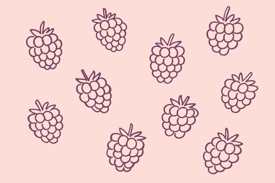 Raspberry doodle vector illustration with hand drawn berry pattern and simple playful fruit sketch icons