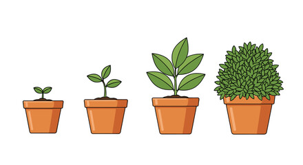 Fototapeta premium Four orange ceramic pots demonstrate the progressive thickening of green foliage from a simple two-leaf sprout to a dense and bushy shrub in a clear row.