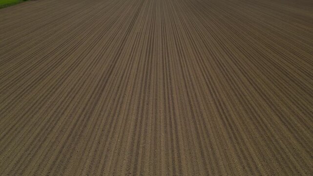 Cultivated Furrows: An eye-level perspective reveals the ordered precision of a cultivated field, where long, evenly spaced furrows stretch towards the horizon, showcasing the beauty of agriculture