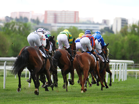caballos a galope en hip&oacute;dromo con jinetes jockeys en grupo de pelot&oacute;n de espaldas y pista de hierba galopando
