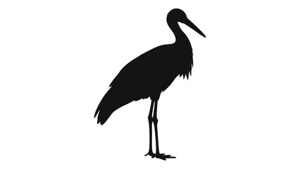 Fototapeta premium A striking silhouette of a stork standing with its head slightly bent