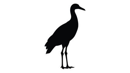 Fototapeta premium Silhouette of a long legged bird likely a crane or heron standing in profile