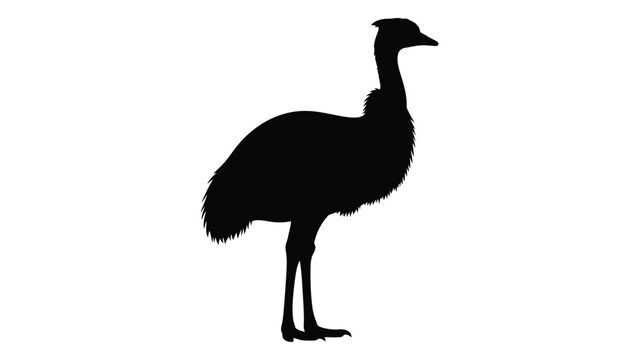 Silhouette of an emu against a plain white background showcasing its distinctive form
