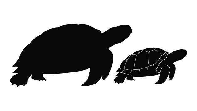 Silhouette of two turtles one larger and one smaller depicted in a simple style