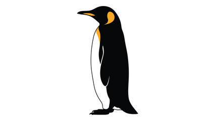 A minimalist illustration of a king penguin in profile with a trailing object © Payara