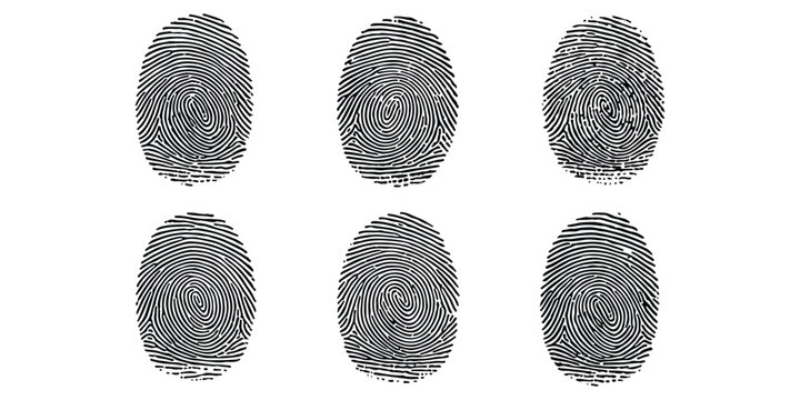 A collection of six distinct human fingerprint patterns displayed on a clean white background area