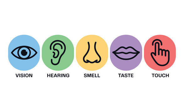 Senses icons illustrate human.
