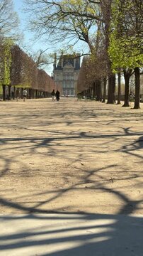 Sunlit stone steps and tree lined avenue, peaceful promenade