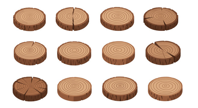A collection of twelve isometric wooden tree trunk slices displays intricate growth rings and natural radial cracks against a clean white background.