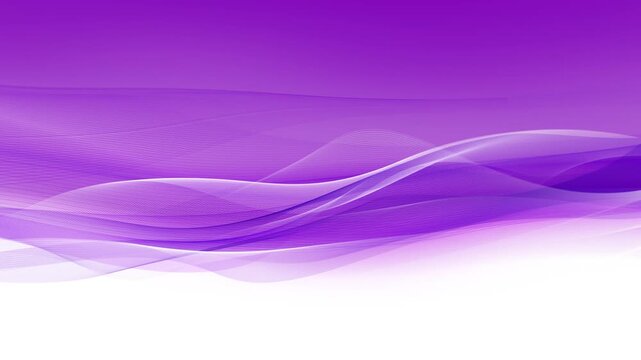 Abstract purple lines - background loop