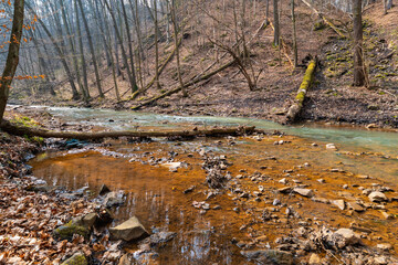 Fototapeta premium Shallow Mountain River Flowing Over Stones and Pebbles with Fallen Trees and Driftwood on Banks Scenic Alpine Stream in Wild Nature Under Overcast Sky Landscape