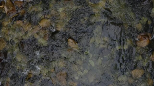 Top down view background of a cold, blue colored water current: slowy flying over the many currents and streams in a mountain stream 