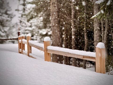 Split Rail Fence in the Snow.jpeg