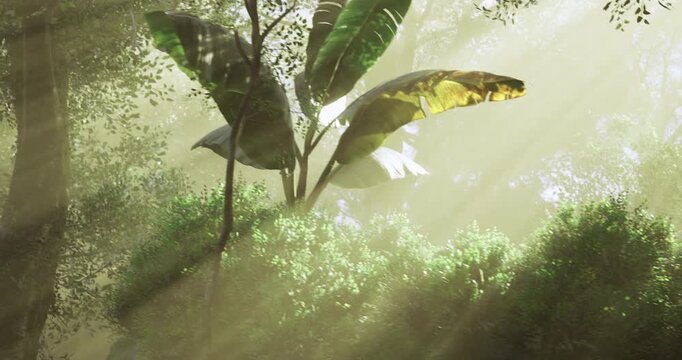 Sunlight streams through thick leaves, creating a peaceful atmosphere in a lush forest. Vibrant green plants thrive under rays of warm sunlight, highlighting natures beauty.