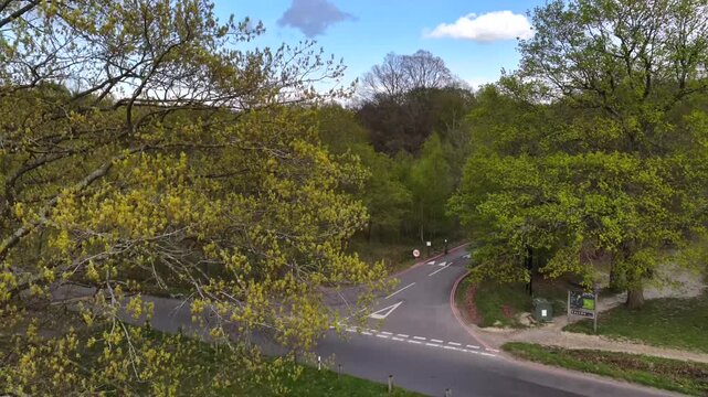 Trees and Road High Beech Epping Forest Aerial 4K