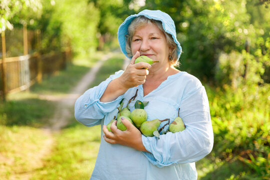 A cheerful elderly woman in a blue hat holding a handful of ripe green pears and smelling one. Bright summer backyard background, organic farming, healthy harvest concept. (178 symbols)