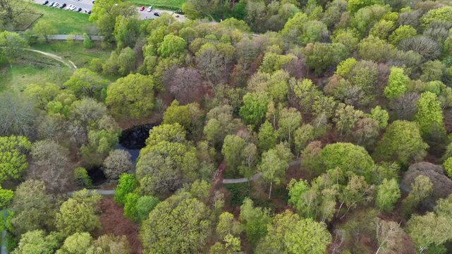 Epping Forest Trees Paths and Pond Aerial 4K Essex