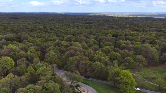 Road Leading into Trees Epping Forest Aerial 4K