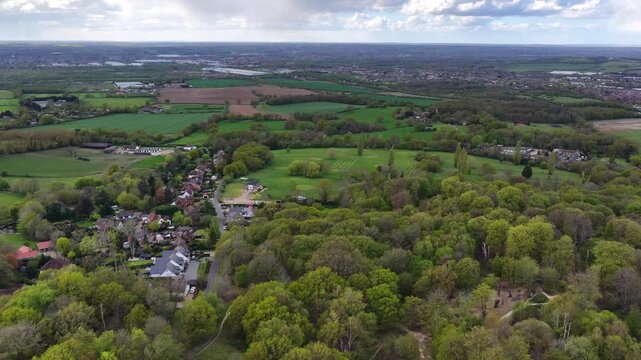 Epping Forest Aerial View Trees and Fields 4K Essex
