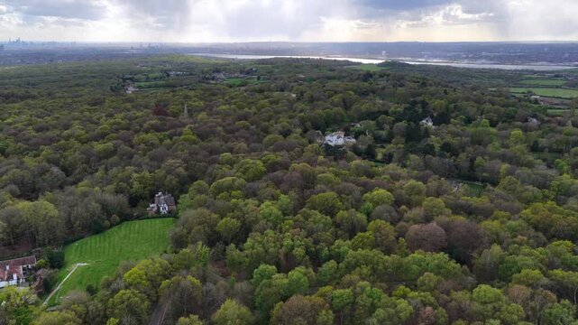 Epping Forest Aerial View Trees and Fields 4K Essex